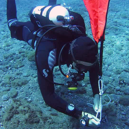 Dive search and recovery